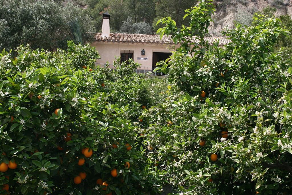 Casica De Perintin Cottage Ricote 外观 照片