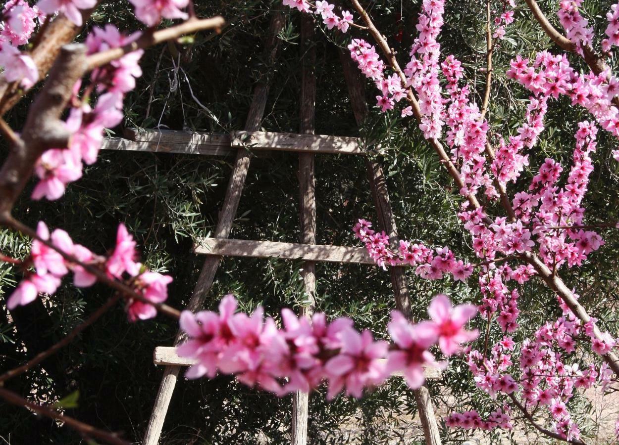 Casica De Perintin Cottage Ricote 外观 照片